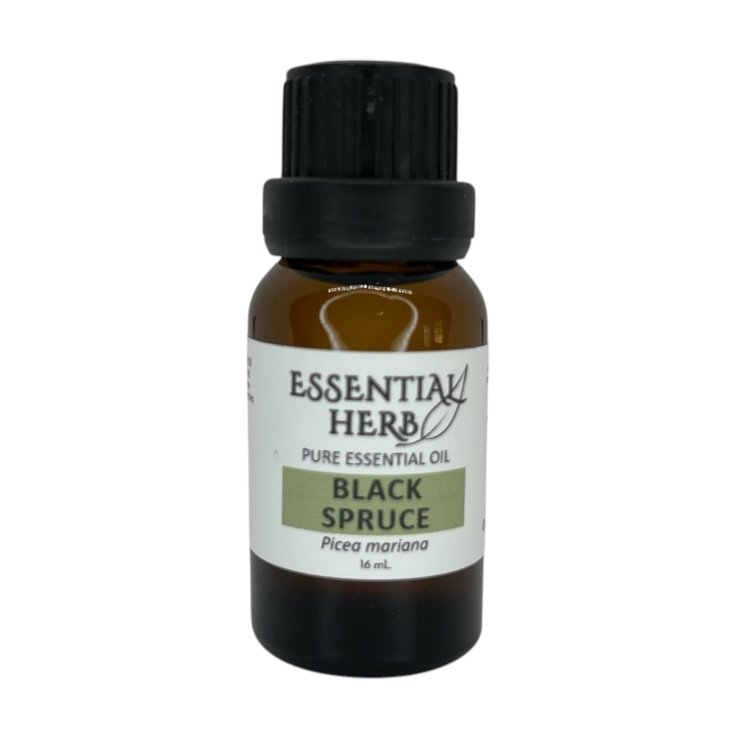 Black Spruce Essential Oil