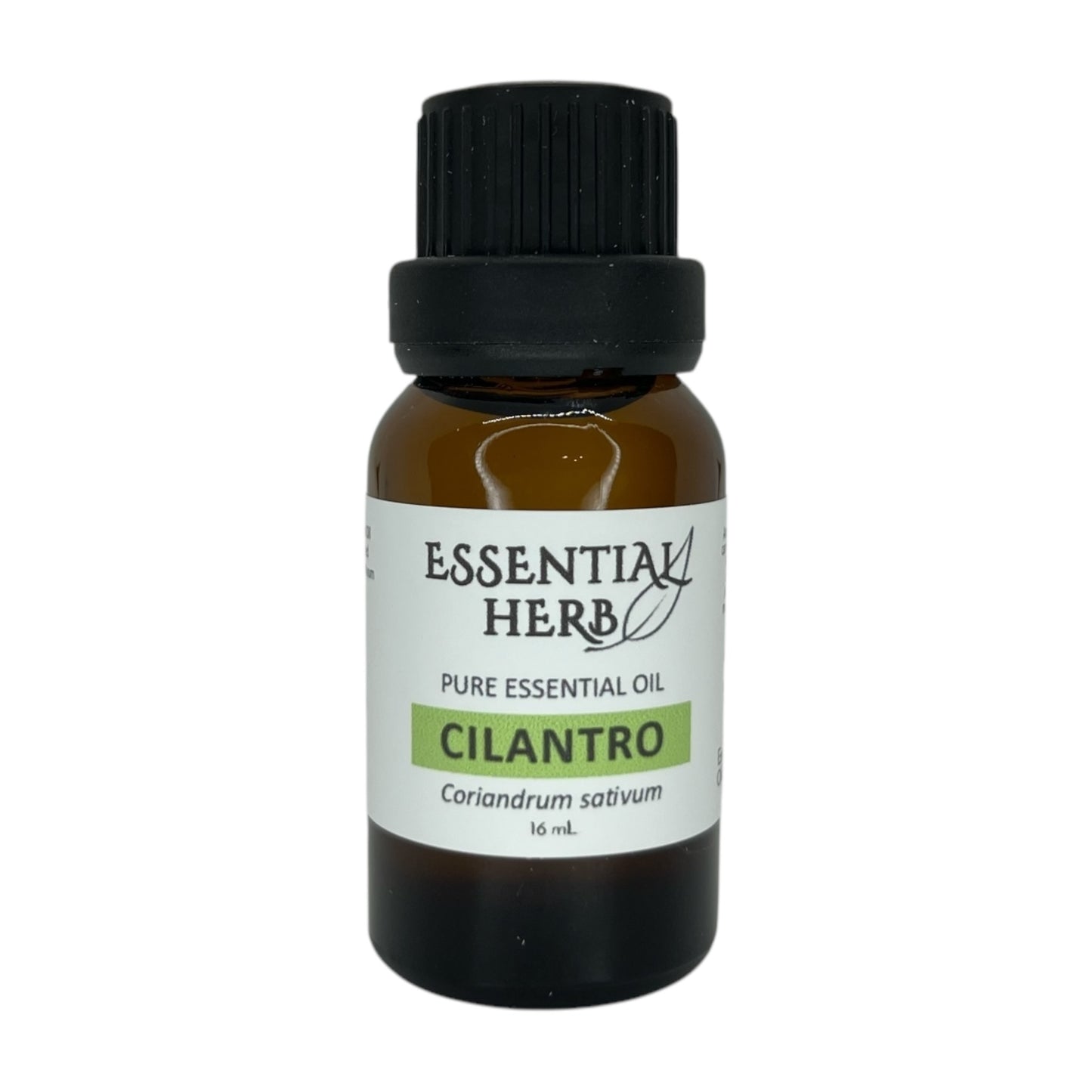 Cilantro Essential Oil
