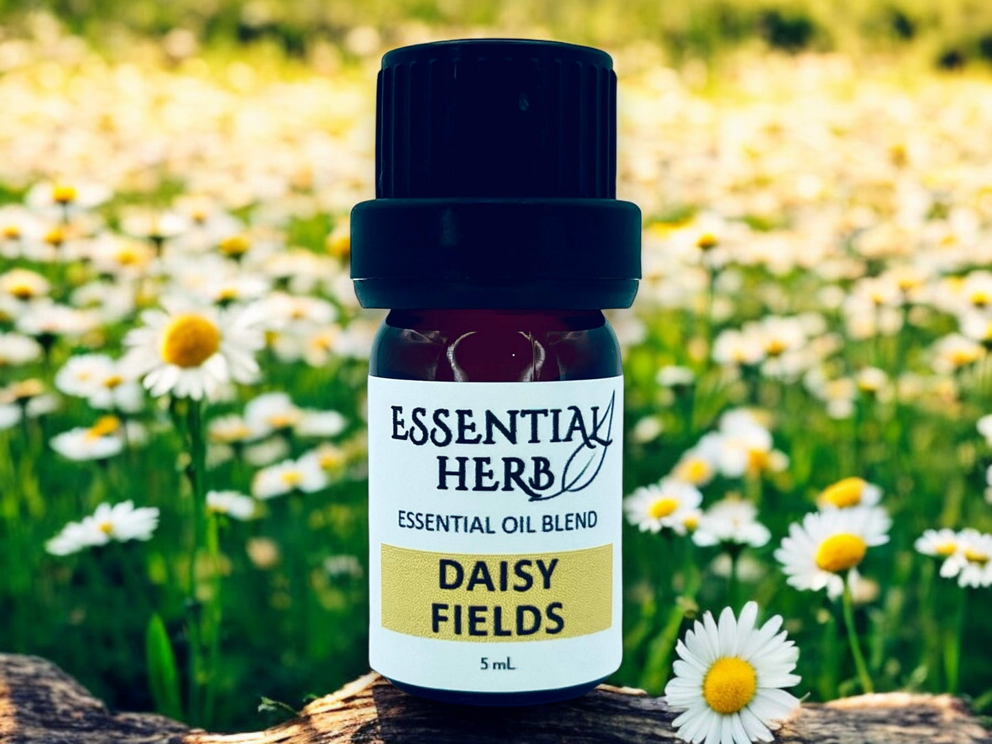 Daisy Fields Essential Oil Blend