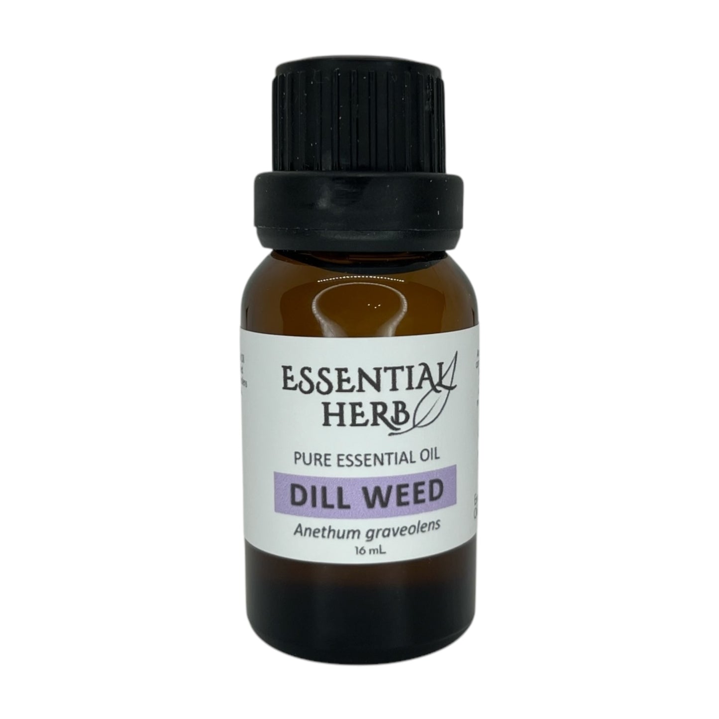 Dill Essential Oil