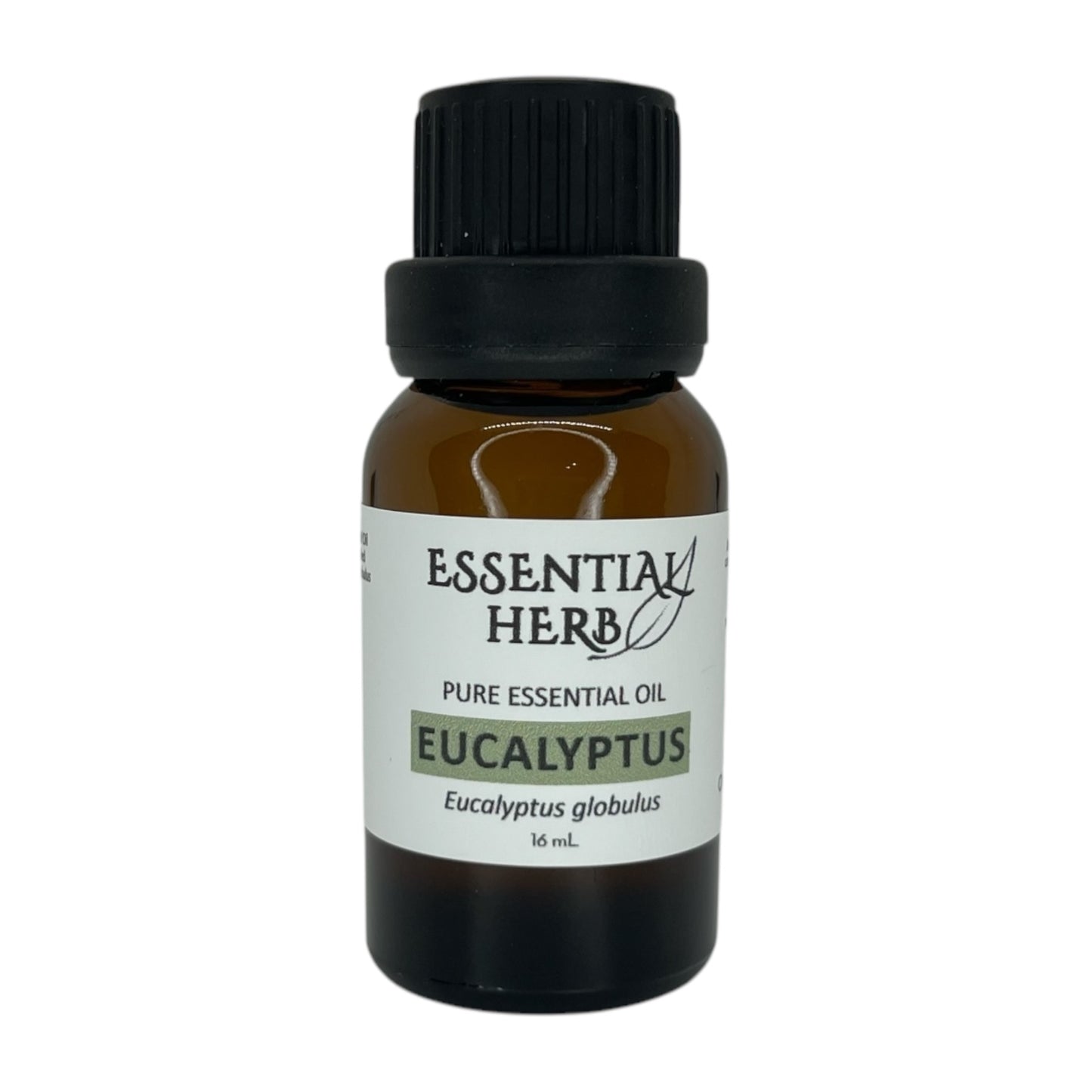 Eucalyptus Essential Oil