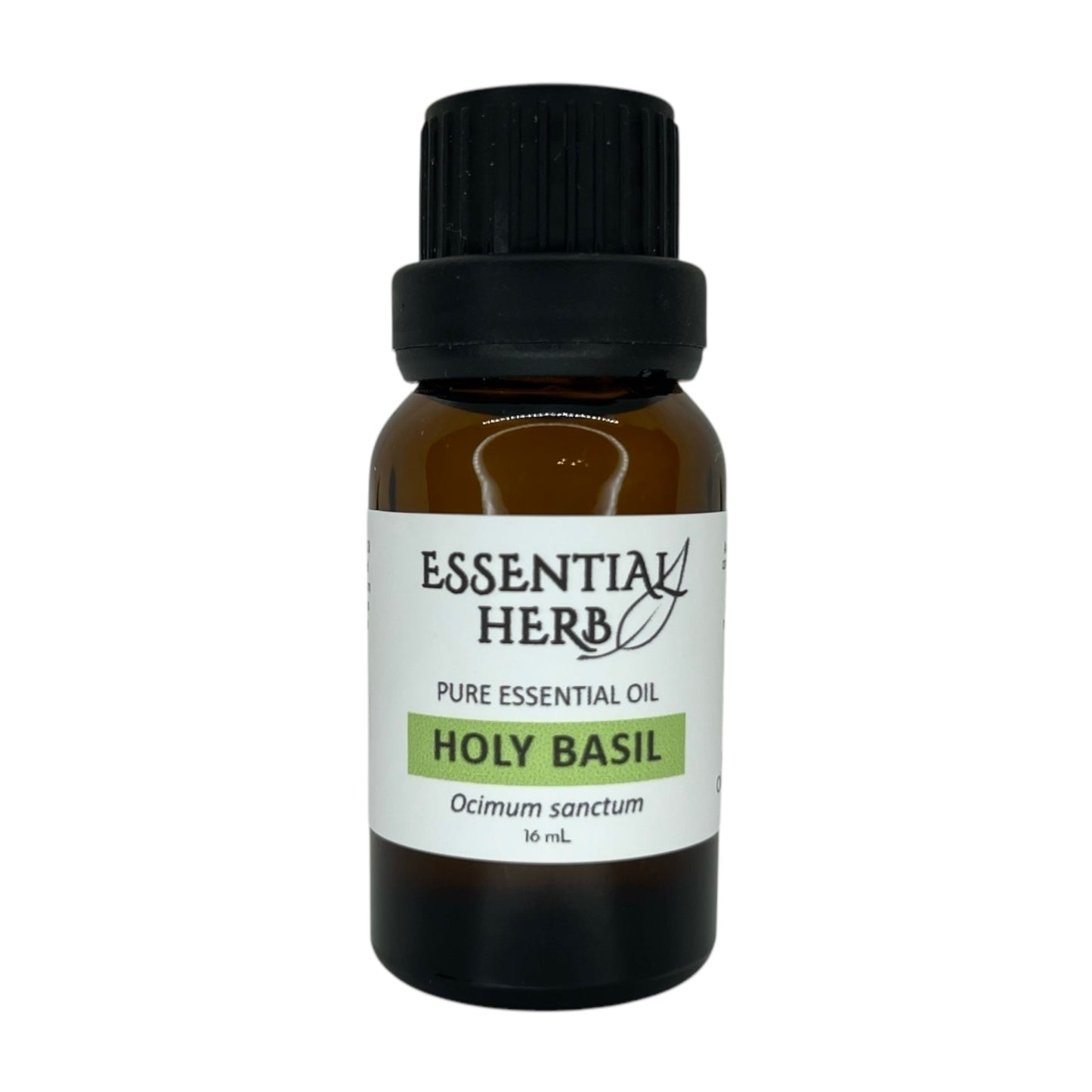 Holy Basil Tulsi Essential Oil