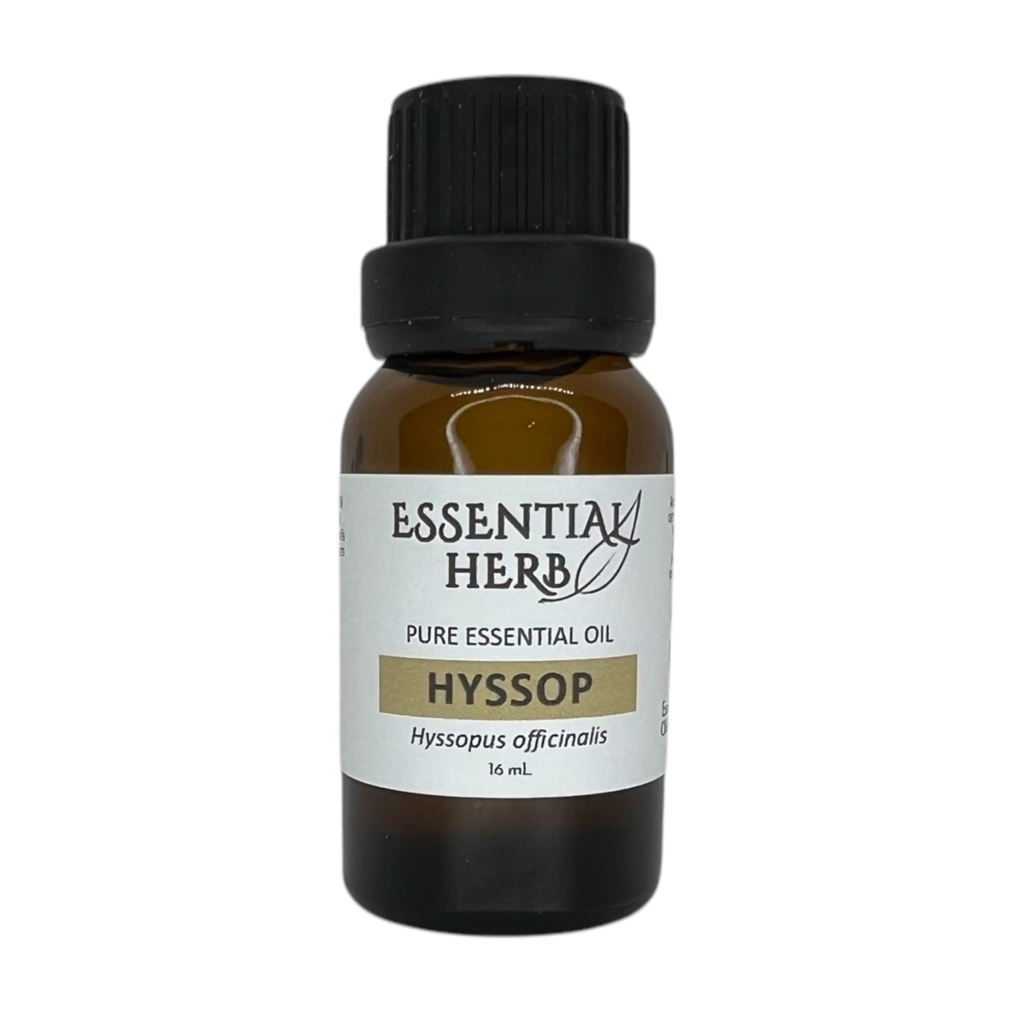 Hyssop Essential Oil