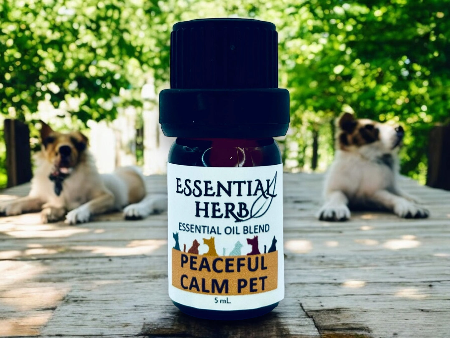 Peaceful Calm PET Essential Oil Blend