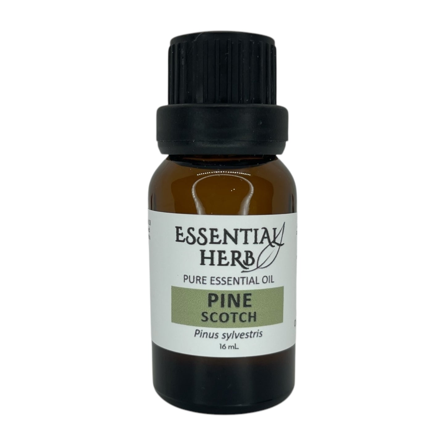 Pine, Scotch Essential Oil