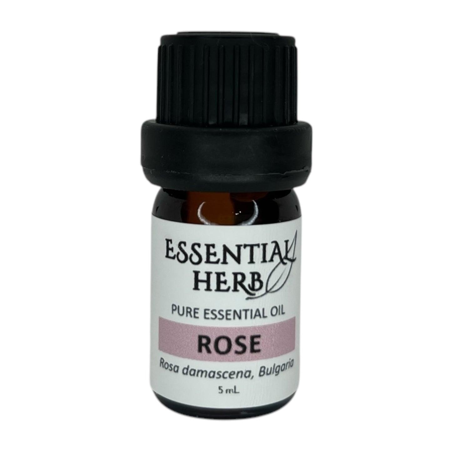 Rose Absolute Essential Oil