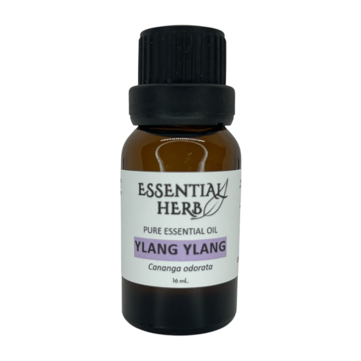 Ylang Ylang Essential Oil