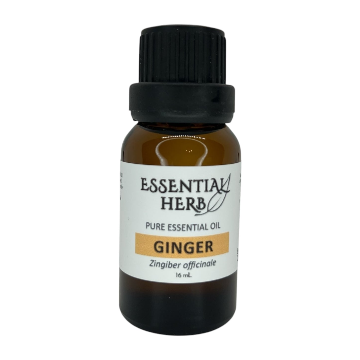 Ginger Essential Oil